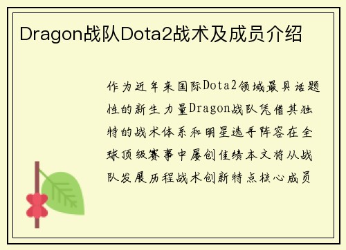 Dragon战队Dota2战术及成员介绍