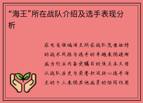 “海王”所在战队介绍及选手表现分析
